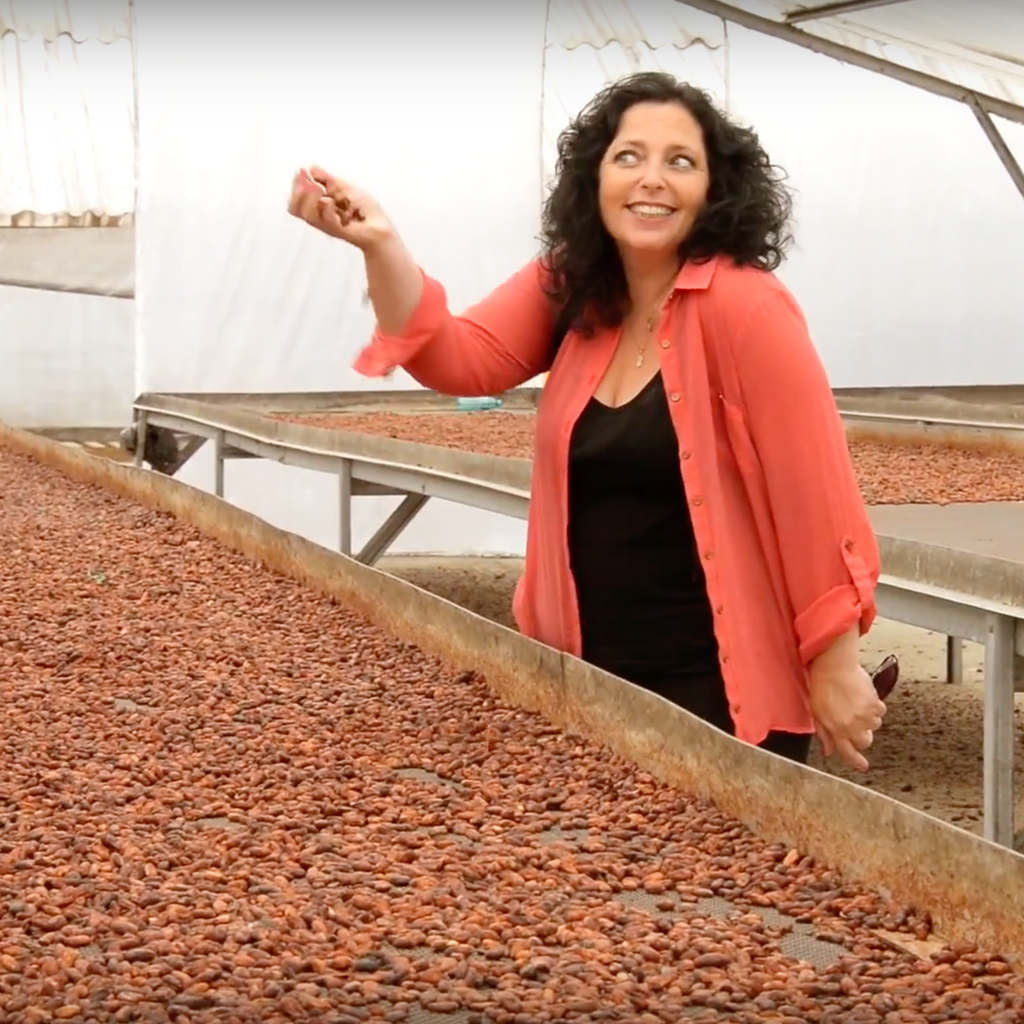 Drying Cocoa Beans-CHOC Chick