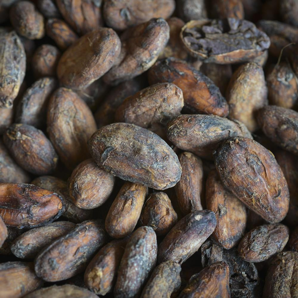 How Cacao Mass Is Made | CHOC CHICK In Ecuador-CHOC Chick