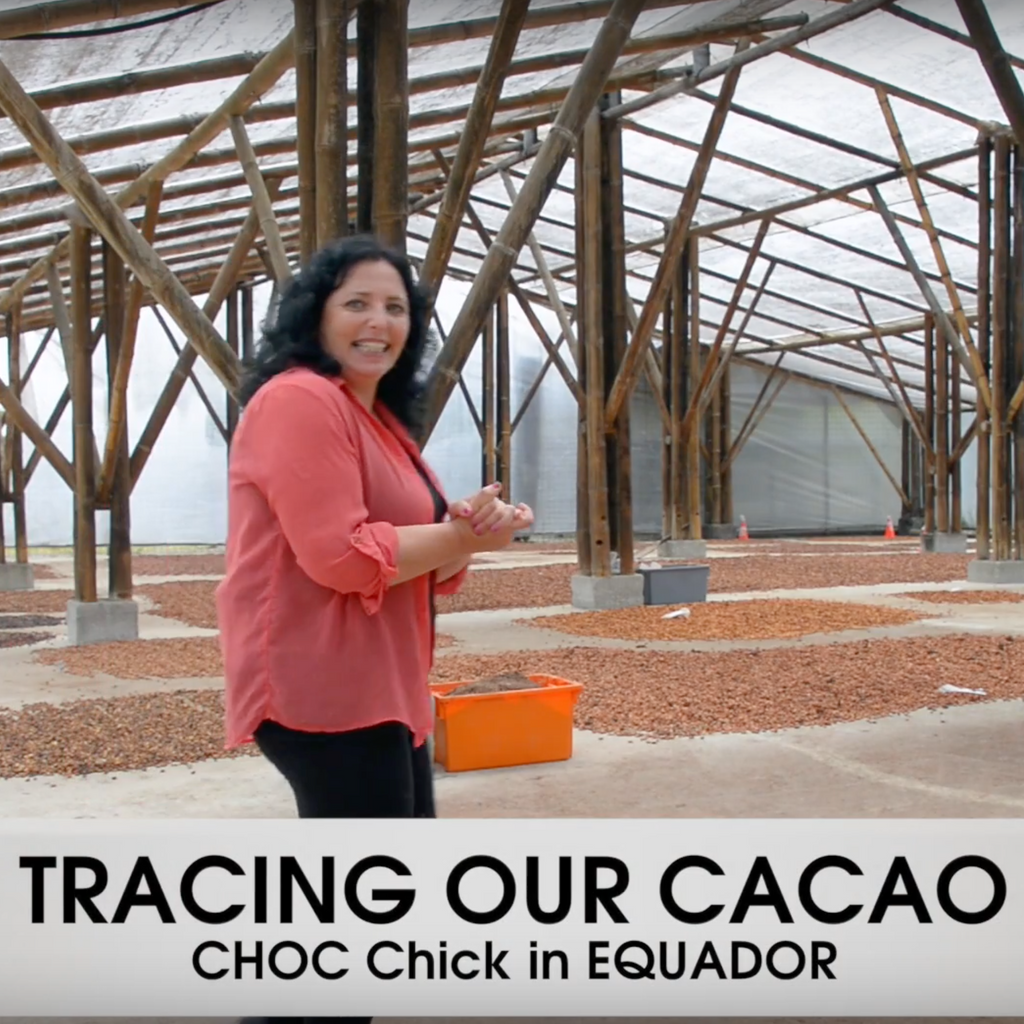 Tracing our Cacao-CHOC Chick