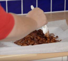 Raw Chocolate With Nuts Recipe-CHOC Chick
