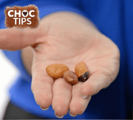 What Is A Cacao Pod And Cacao Bean?-CHOC Chick